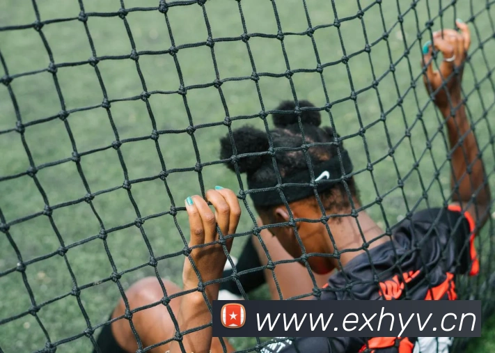 多媒体互动体验